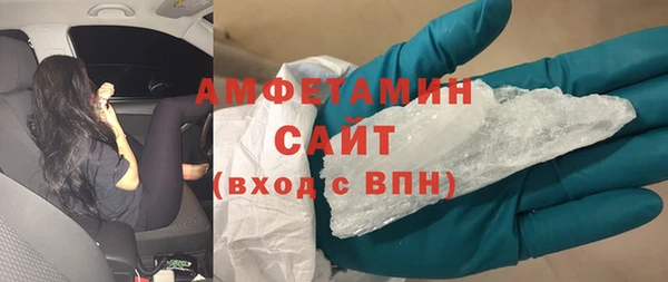шишки Абаза