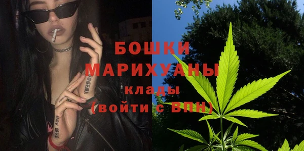 шишки Абаза