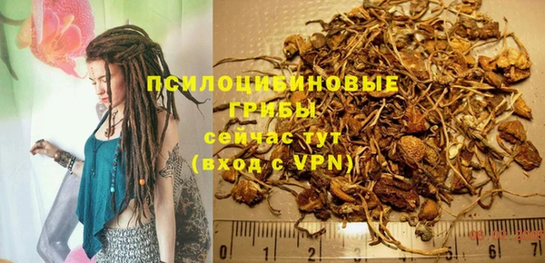 тгк Покровск