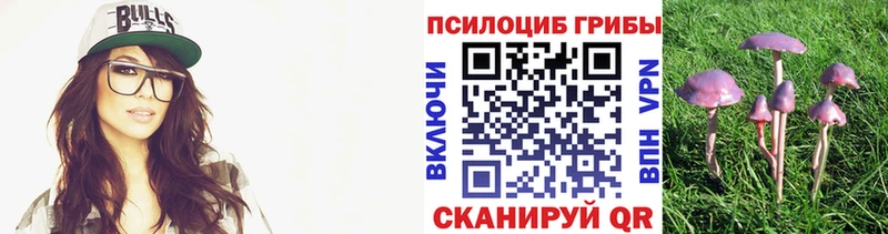 Галлюциногенные грибы Psilocybe Ак-Довурак