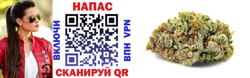 МАРИХУАНА гибрид  Ак-Довурак 